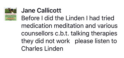 Linden Method review testimonial 20