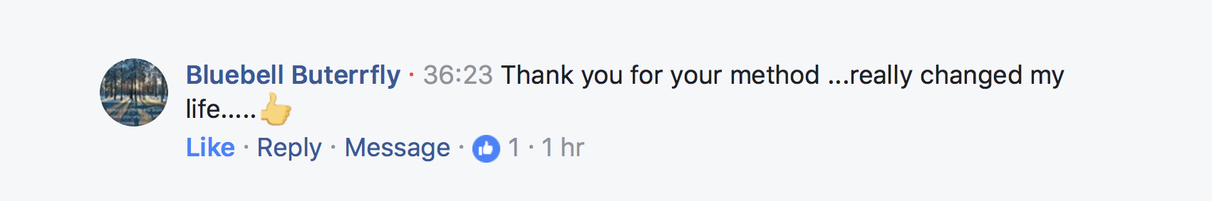 Linden Method review testimonial 29